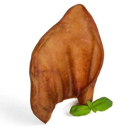 Petmex – Pork Ear for Dog | Natural Teether| 1pc.