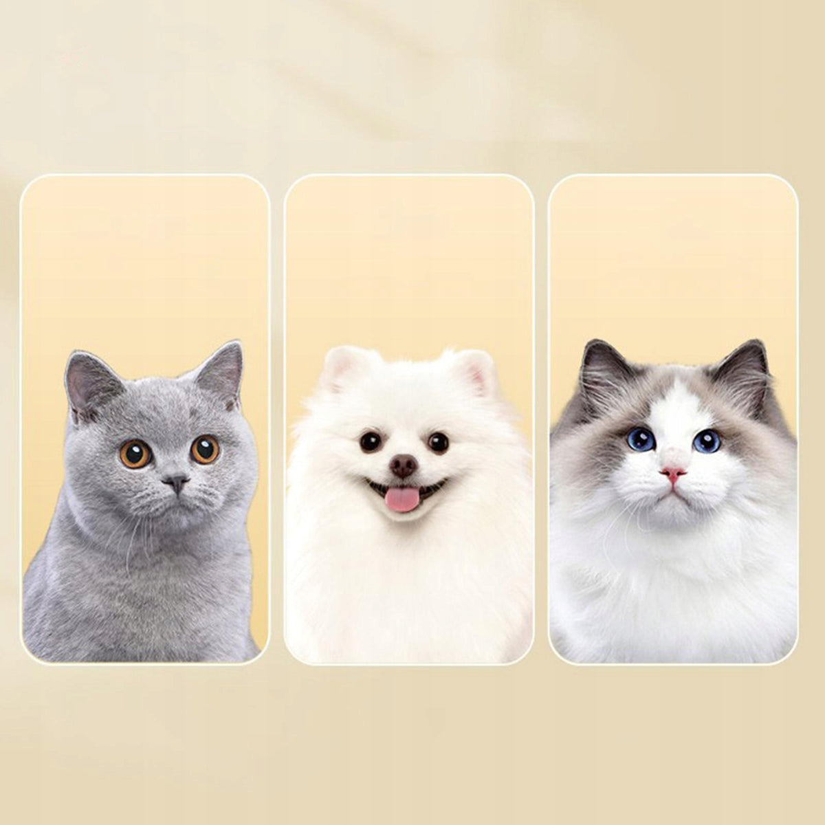 Pets Grooming Brush Professional Multifunctional Pet Massaging Style A Gray Packaging status original