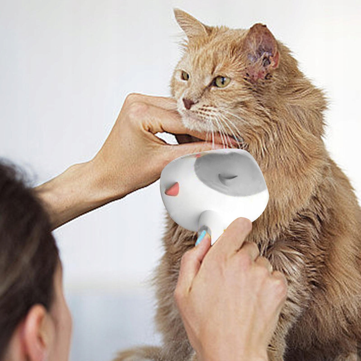 Pets Grooming Brush Professional Multifunctional Pet Massaging Style A Gray