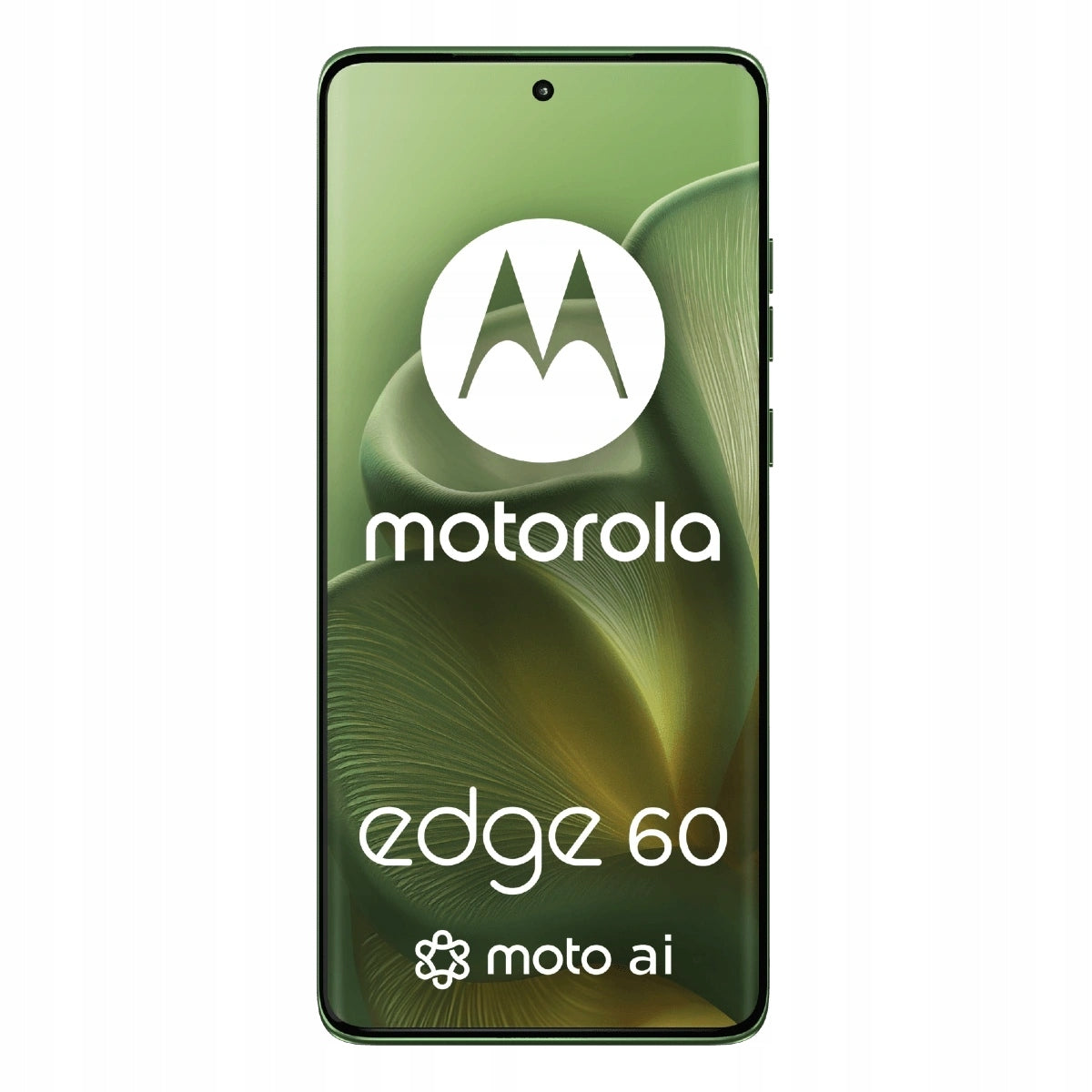 Phone Motorola Edge 60 5G 12/256GB Green Operating system version Android 15
