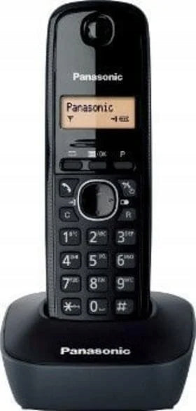 Phone PANASONIC KX-TG1611PDH
