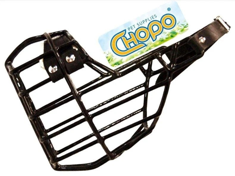 Physiological muzzle Chopo Boxer Shar Pei Dog Argentinian Dog