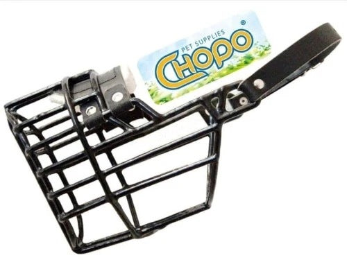 Physiological muzzle Chopo Doberman Beauceron Bitch chamber 11 cm
