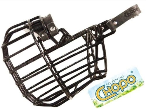 Physiological muzzle Chopo German Shepherd sports version Bitch