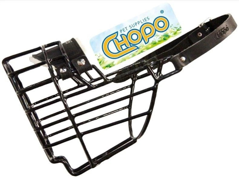 Physiological muzzle Chopo Giant Schnauzer Briard Bobtail Dog