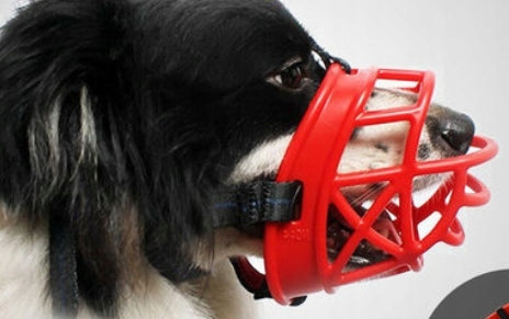 Physiological muzzle for Dog Silicone XL Red – Full Comfort Manufacturer code 00061/XL