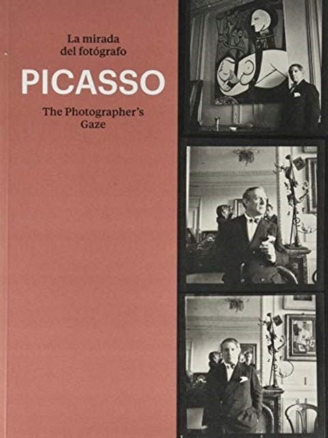 Picasso: Der Blick des Fotografen 