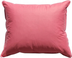 Pillow Feathers 70x80 cm down and feathers PINK OR CREAM, manufacturer