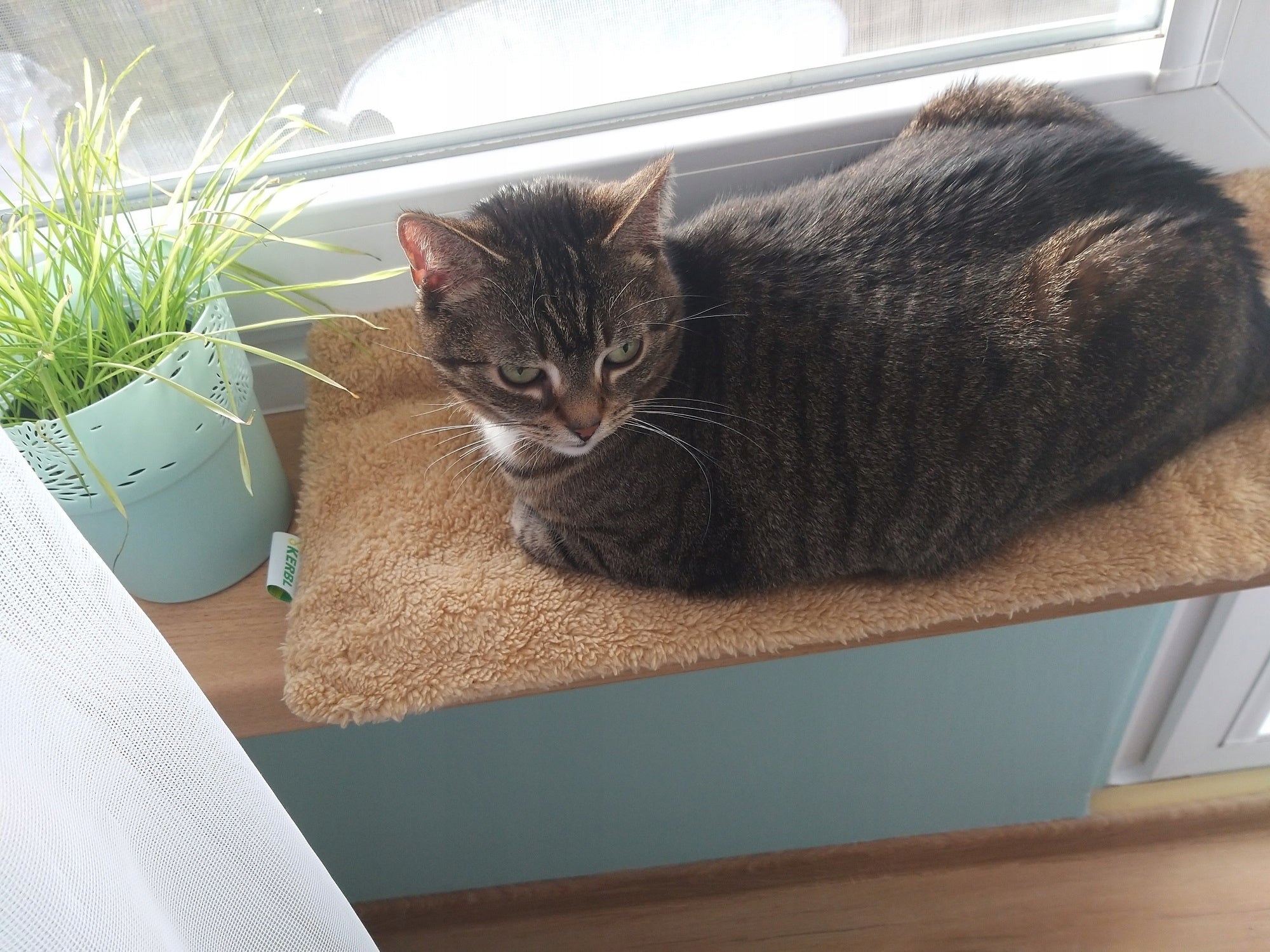 Pillow window sill mat, 60 x 26 x 2 cm KERBL Brand Kerbl