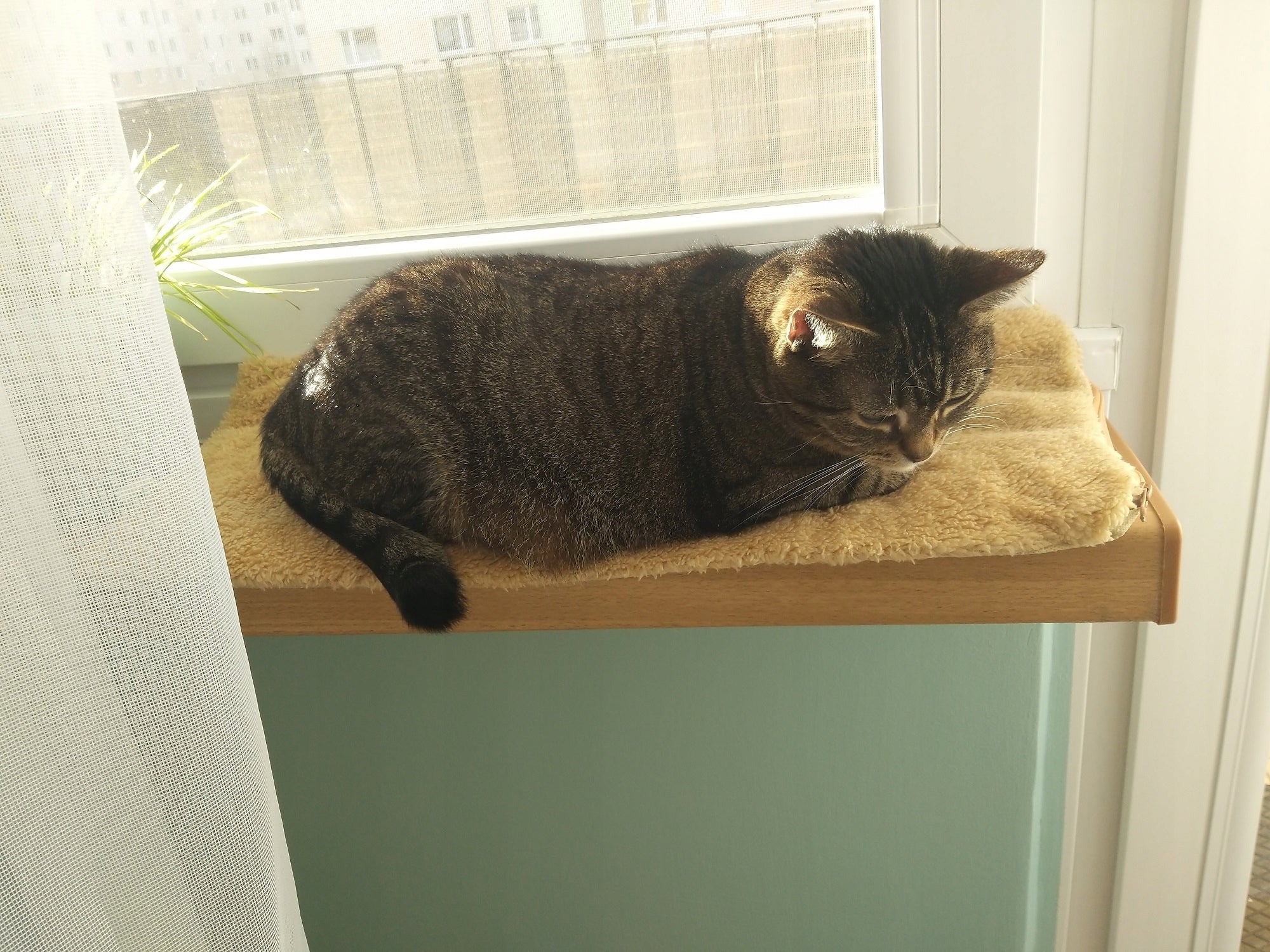 Pillow window sill mat, 60 x 26 x 2 cm KERBL Manufacturer code Window Cushion