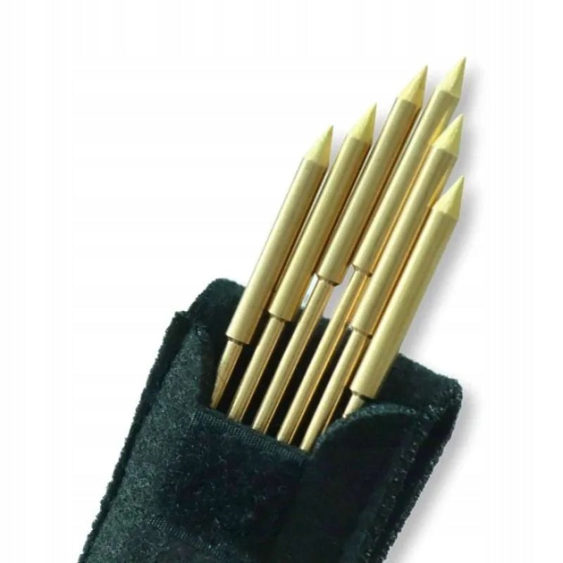 Pins STANDARD fi 5mm - Brass - For Pinotherapy 6 pcs with case EAN (GTIN) 5905610748579