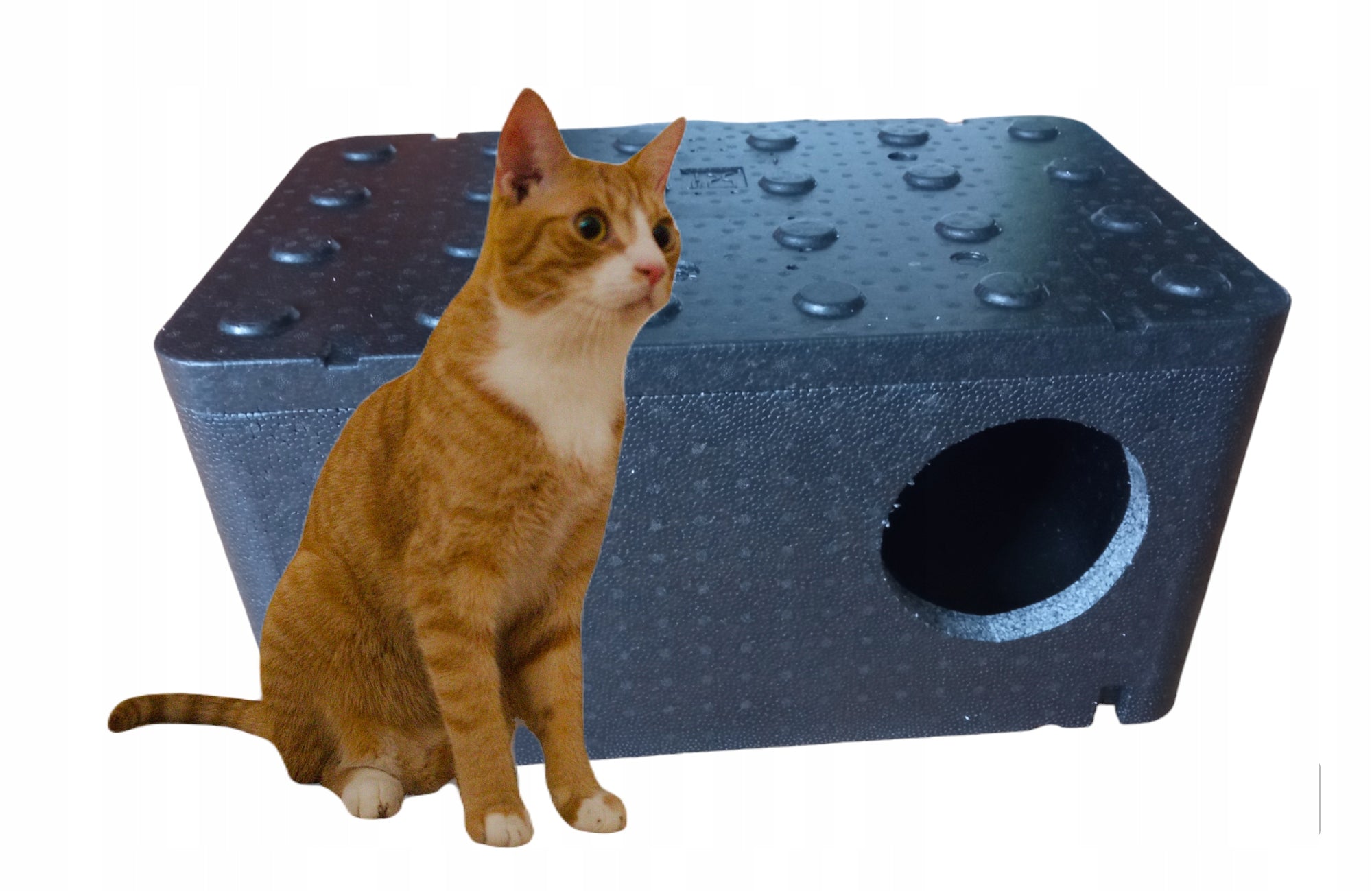 Piocelan cat booth