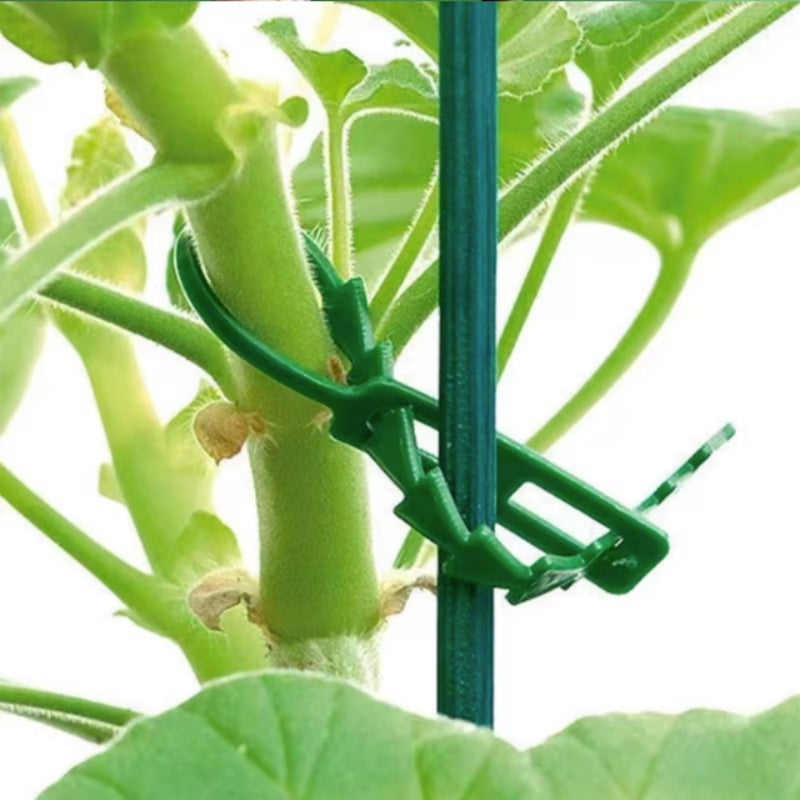 Plant Bands LONG 23 cm Adjustable Garden Clamp Multiple Brand no brand