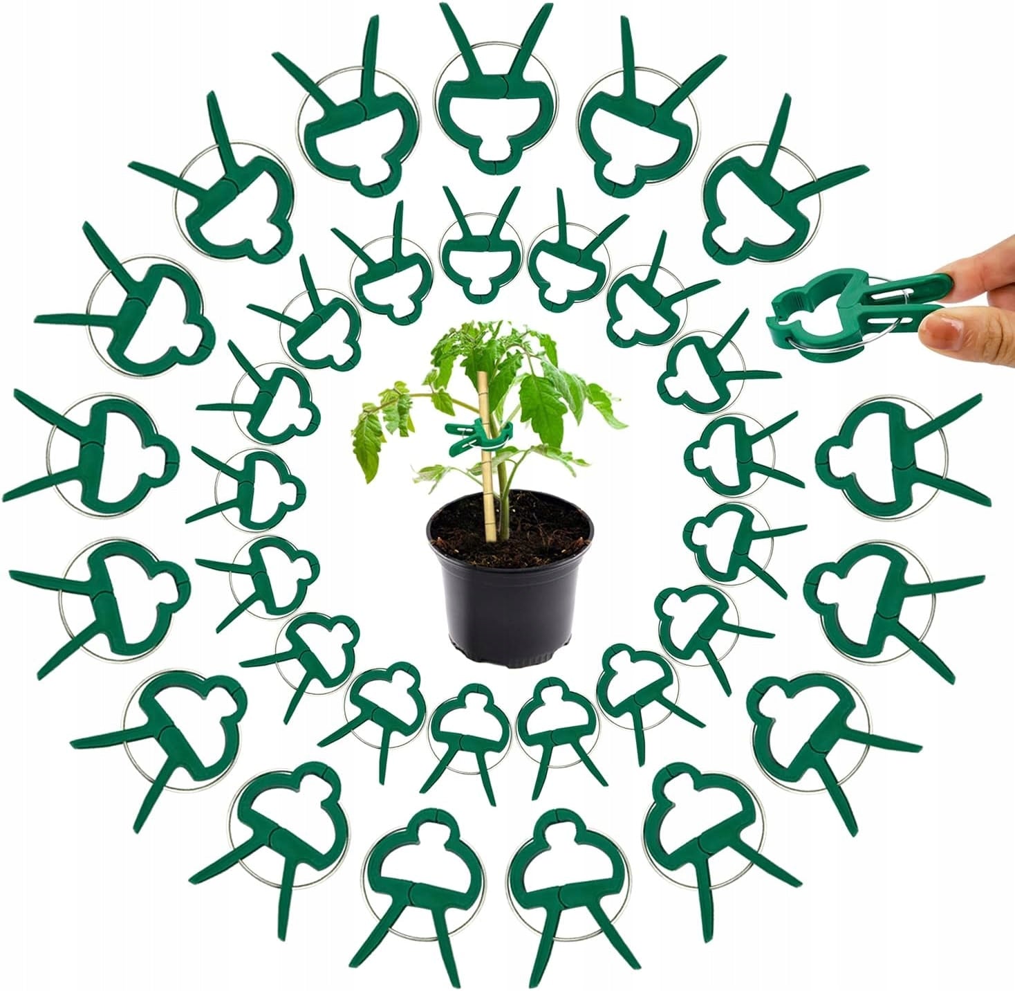 Plant CLIPS Stems Shoot Set of 60 Garden Pieces for Fastening