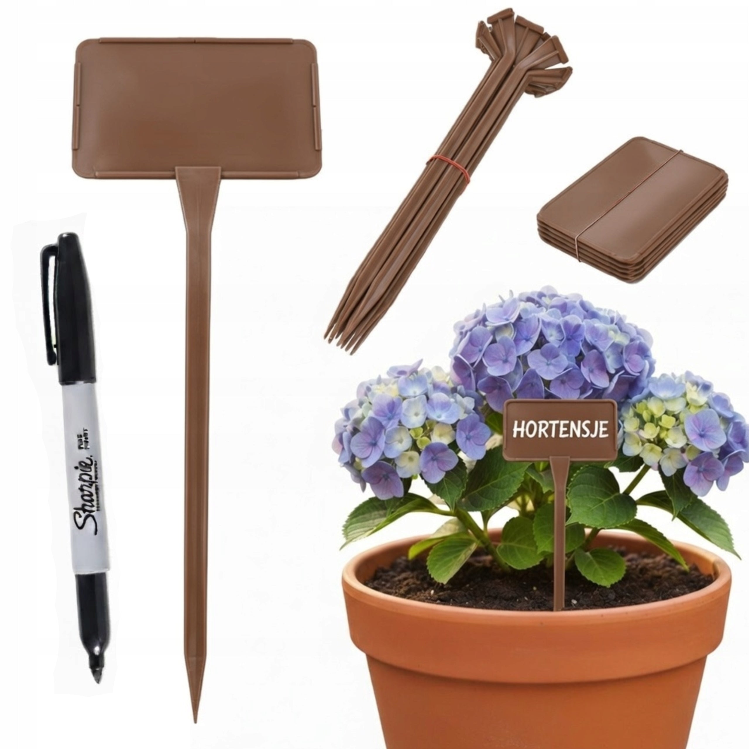 Plant Description Labels LARGE 16x11cm Interchangeable Field + Marker