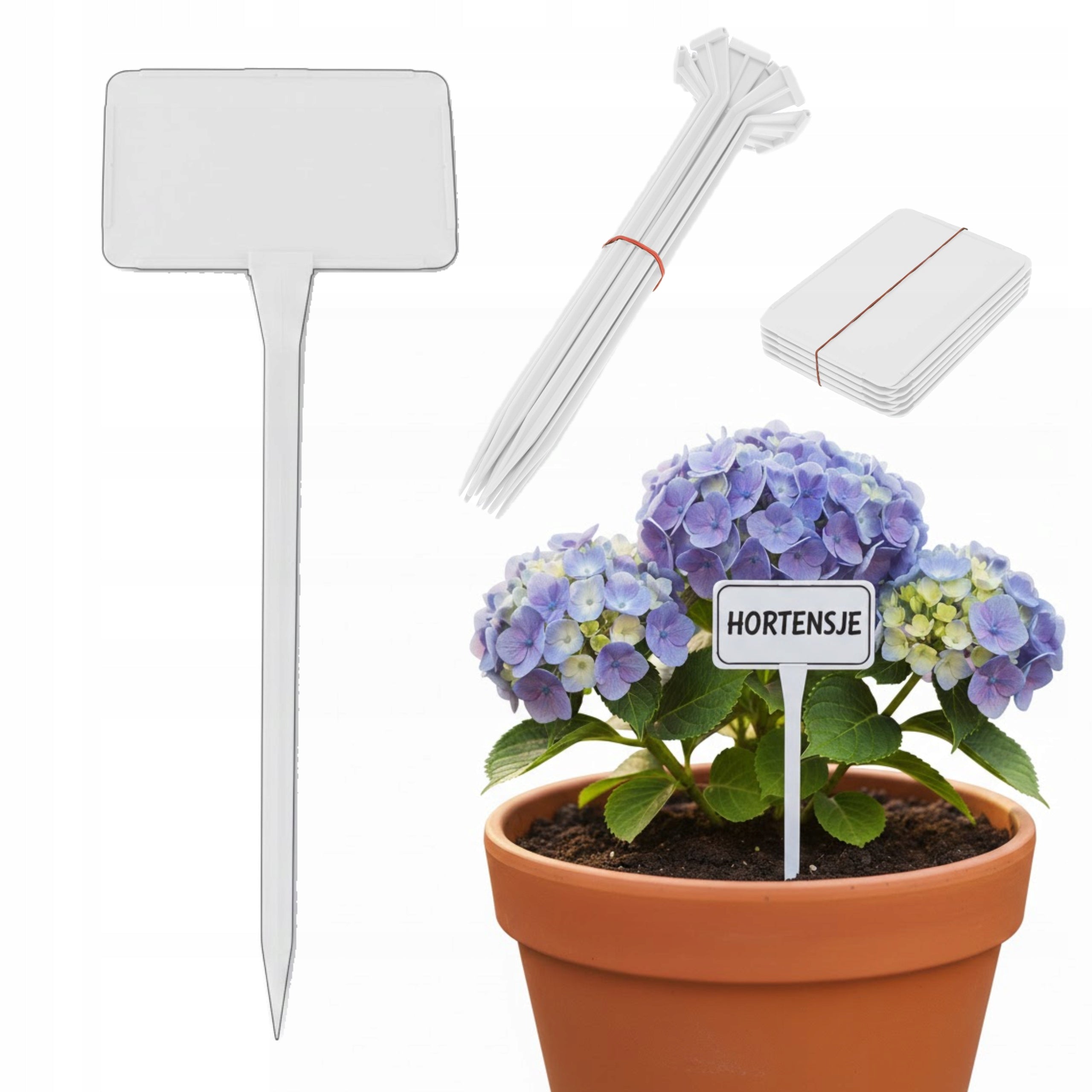 Plant Description Labels Small 10,5x7cm Interchangeable White Field
