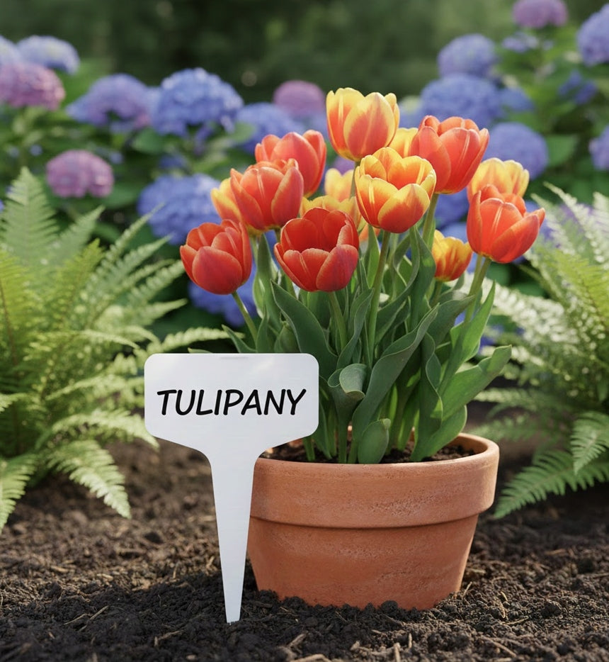 Plant Description Plates 6x3 cm For Seedling VEGETABLE FLOWER Description Grey Brand GruGarden