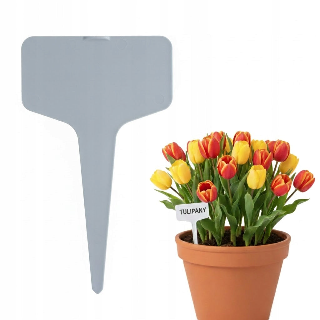 Plant Description Plates 6x3 cm For Seedling VEGETABLE FLOWER Description Grey