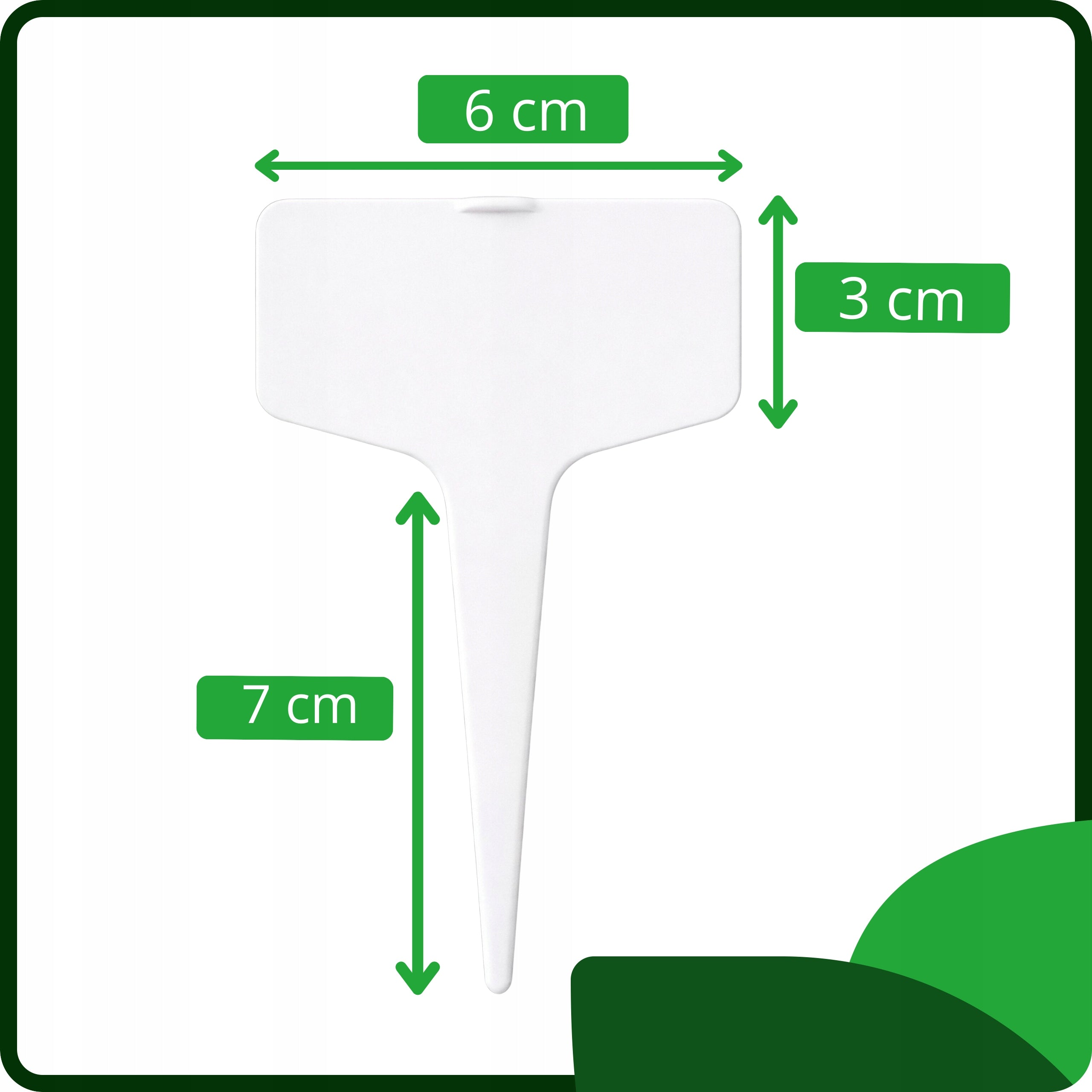 Plant Description Plates Labels 6x3 cm White for Garden Vegetable Seedlings Number of pieces 10 pcs