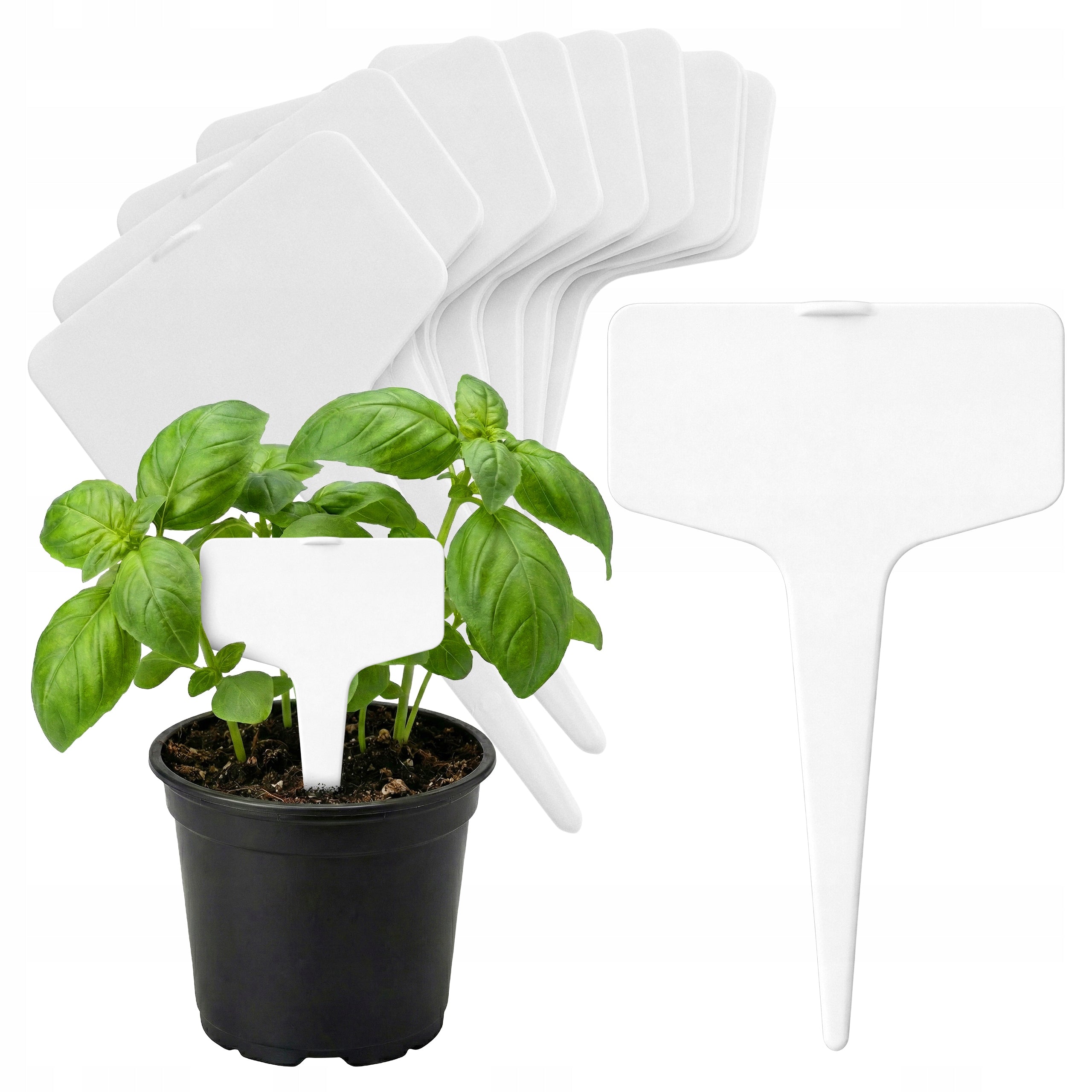 Plant Description Plates Labels 6x3 cm White for Garden Vegetable Seedlings