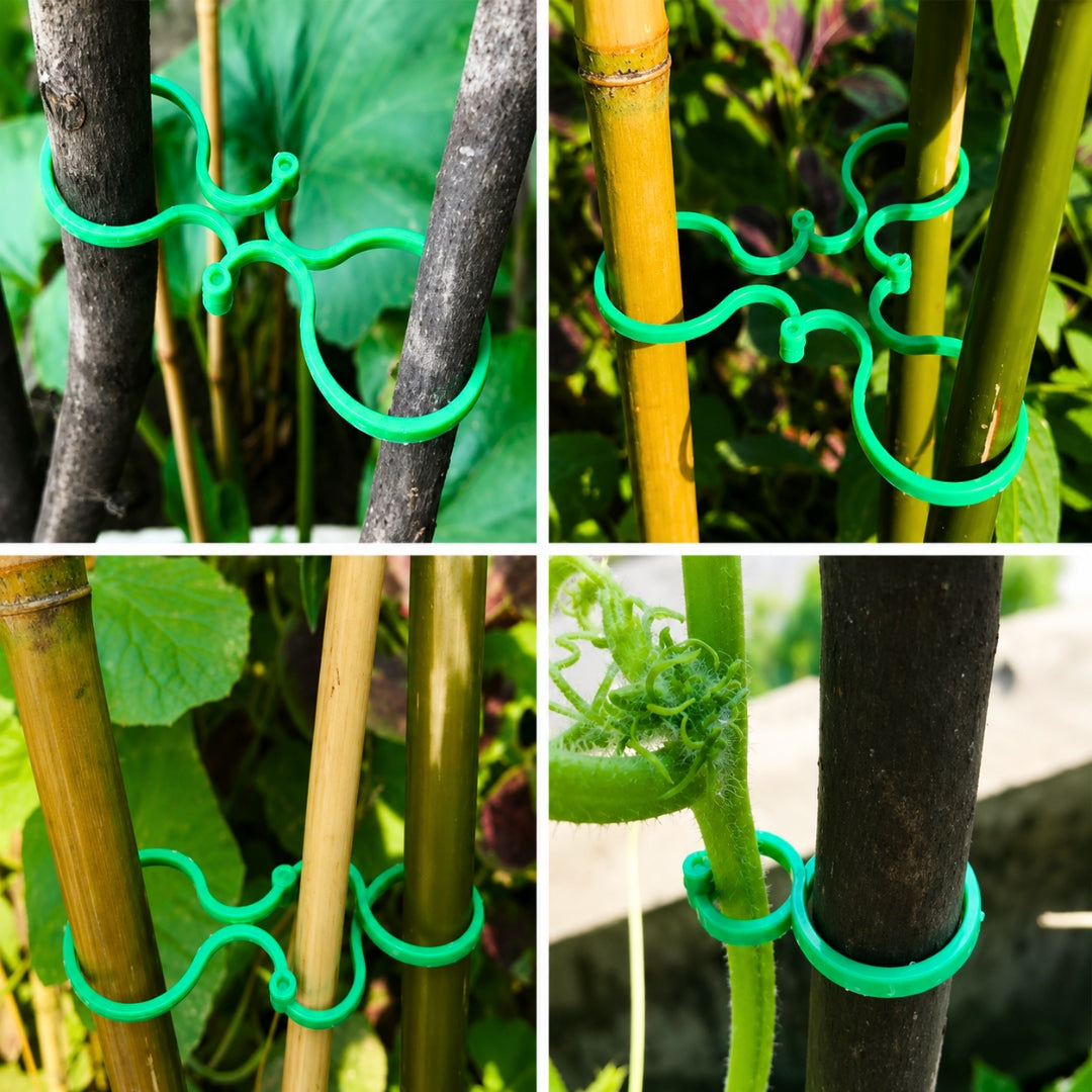 Plant Fastening Clips 50pcs Fastening Clips for Tomato Stems Manufacturer code Zestaw klipsy zapinki roślin Elastyczne