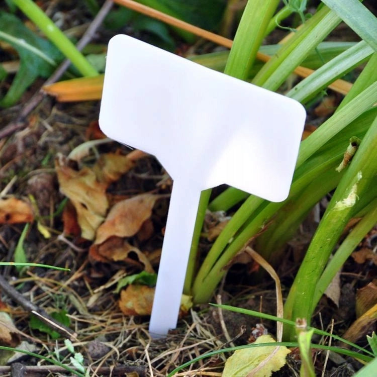 Plant Labels 100pcs/10x6cm | Perfect for Garden Color white