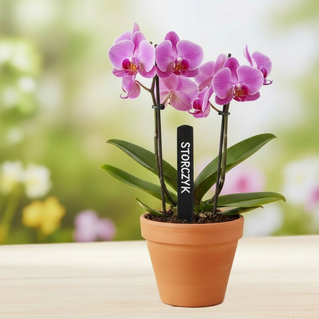 Plant Labels 12cm Seedling Plates Vegetable Description Black Manufacturer code 06081