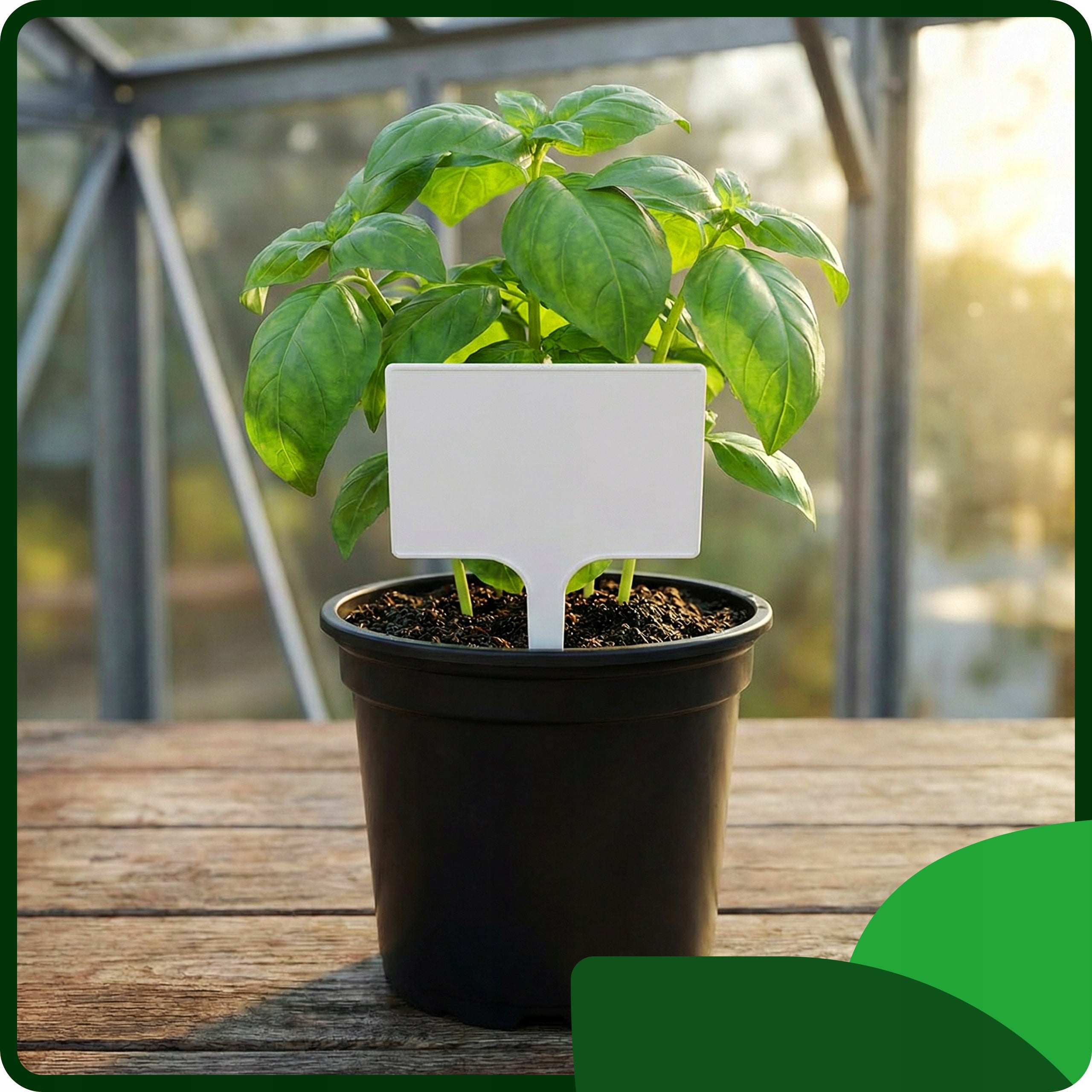 Plant Labels Description Tags 7x10,5cm White Flowers MARKER Brand Ogrodowy Młyn