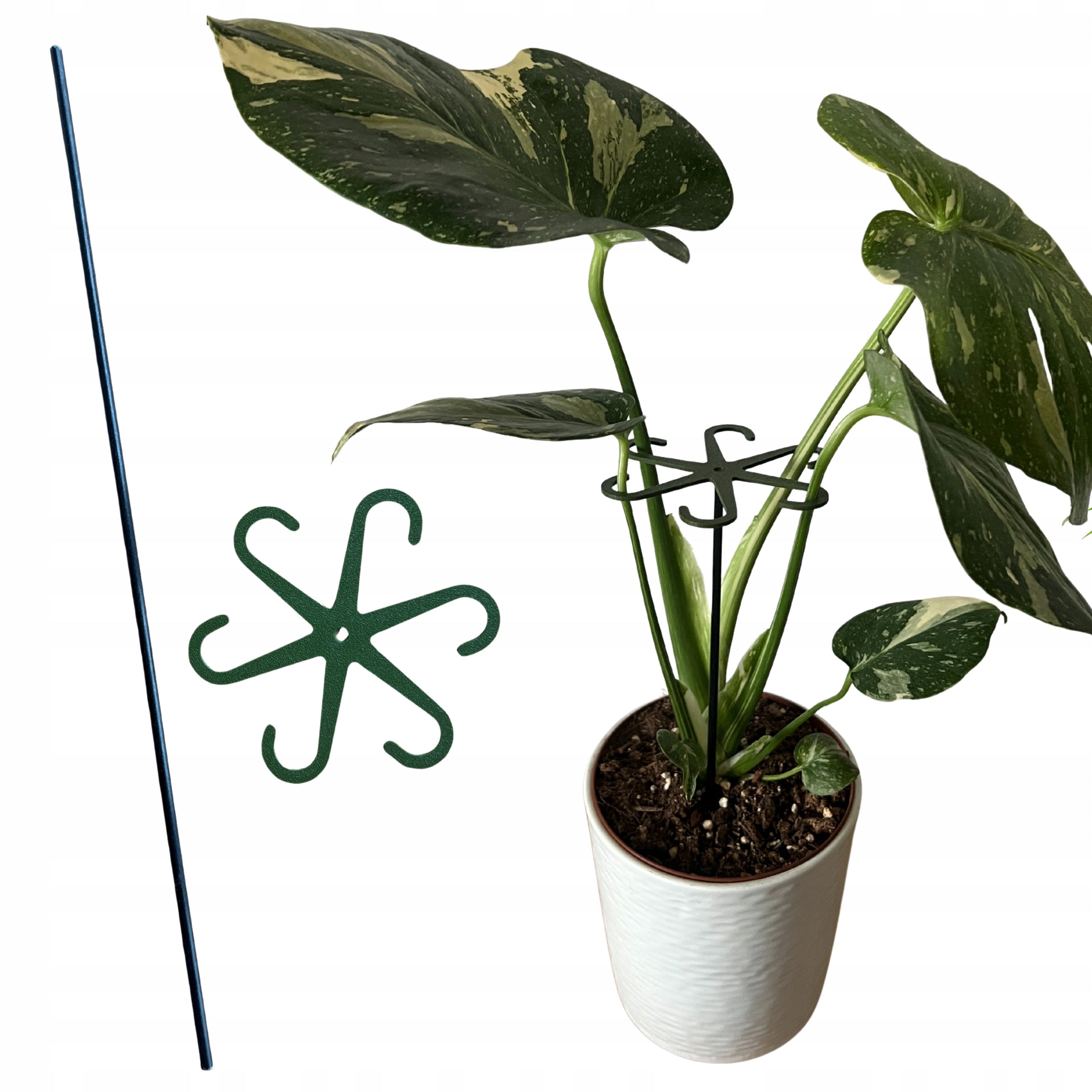 Plant Support Flowers Support STRONG Gripper with Rod M 15 cm