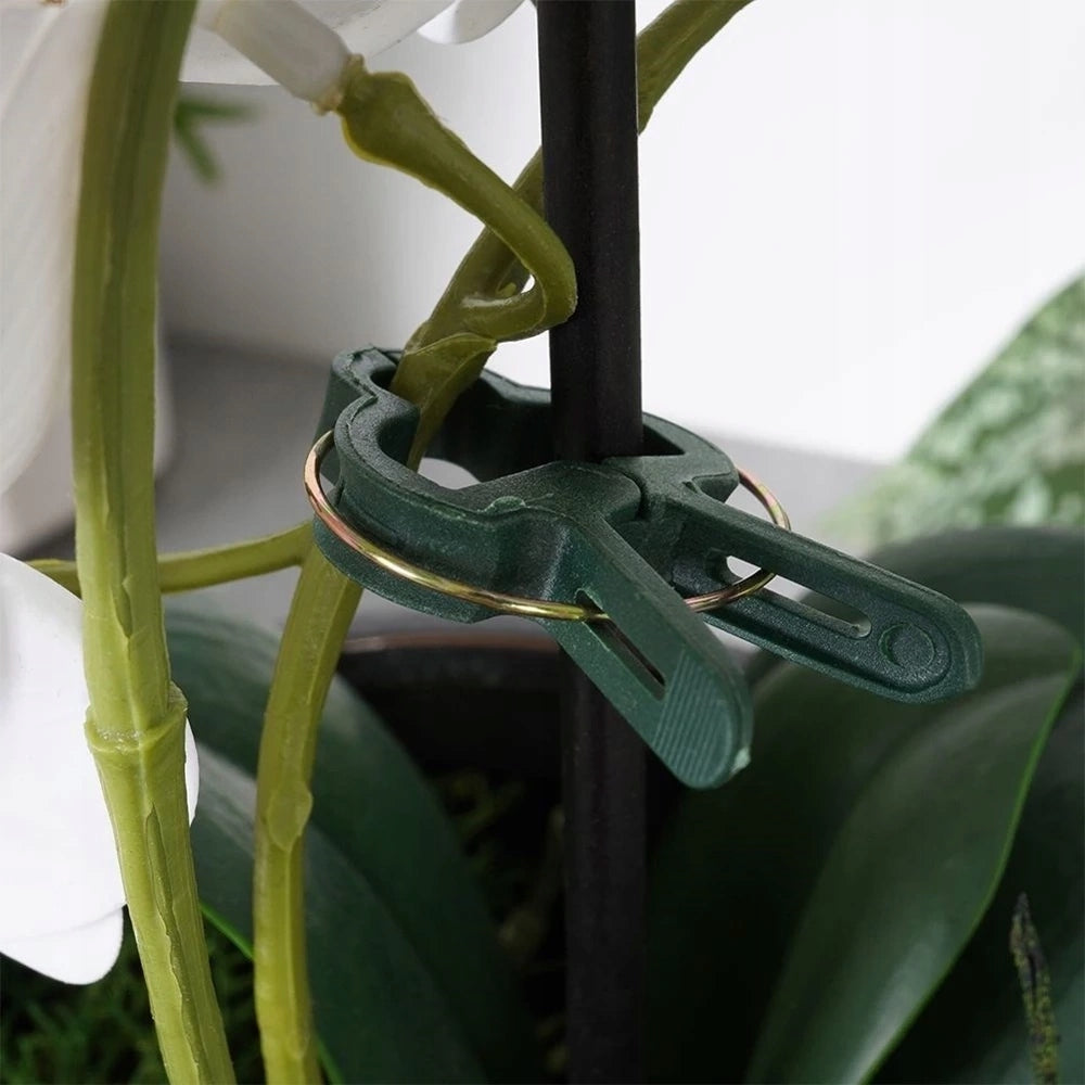 Plant clips 20 pcs. Dominant material plastic