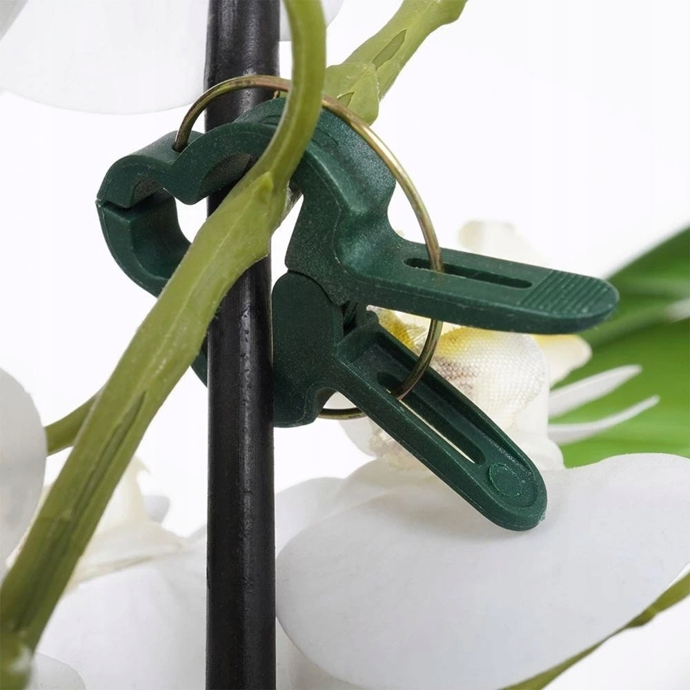 Plant clips 20 pcs. Manufacturer code KOP-CY5900370