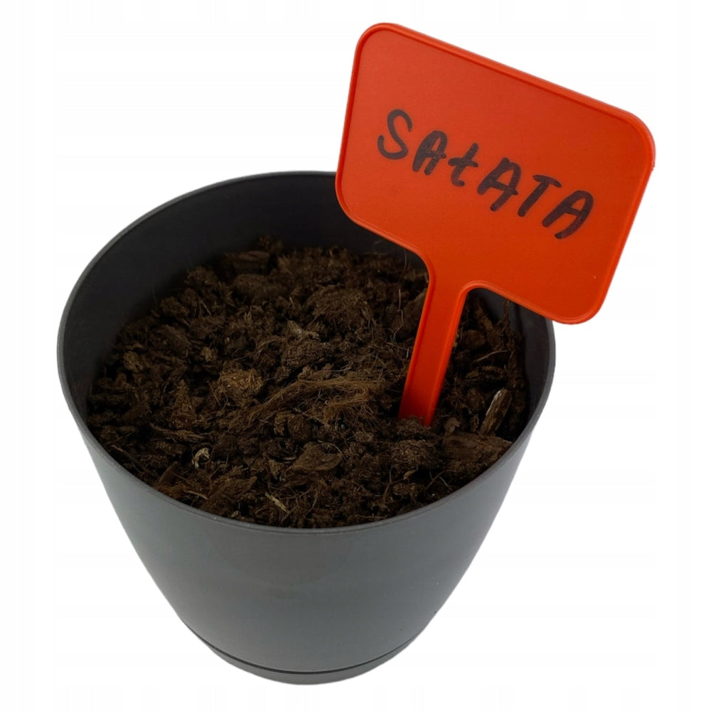Plant marking plates, 50 pcs, orange