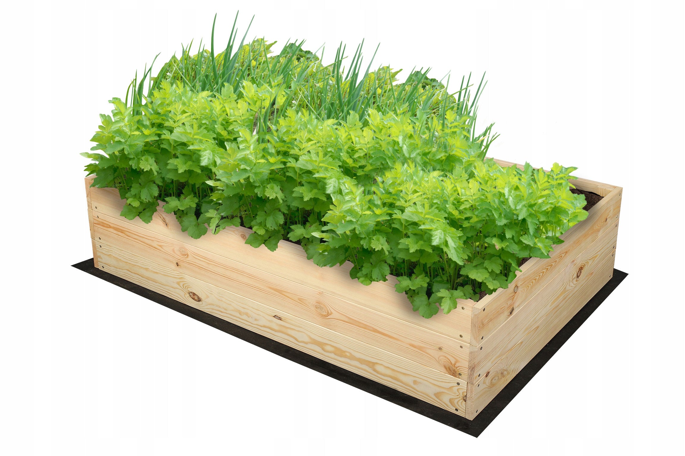 Planter wooden vegetable garden chest inspection bed raised 27x100x80 Packaging status original