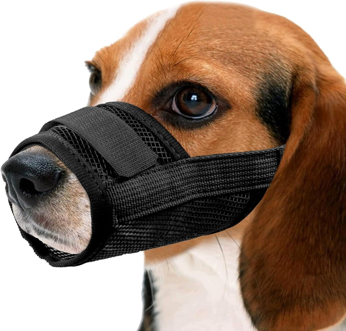 Plastic Muzzle AMI Manufacturer code 5908040559692