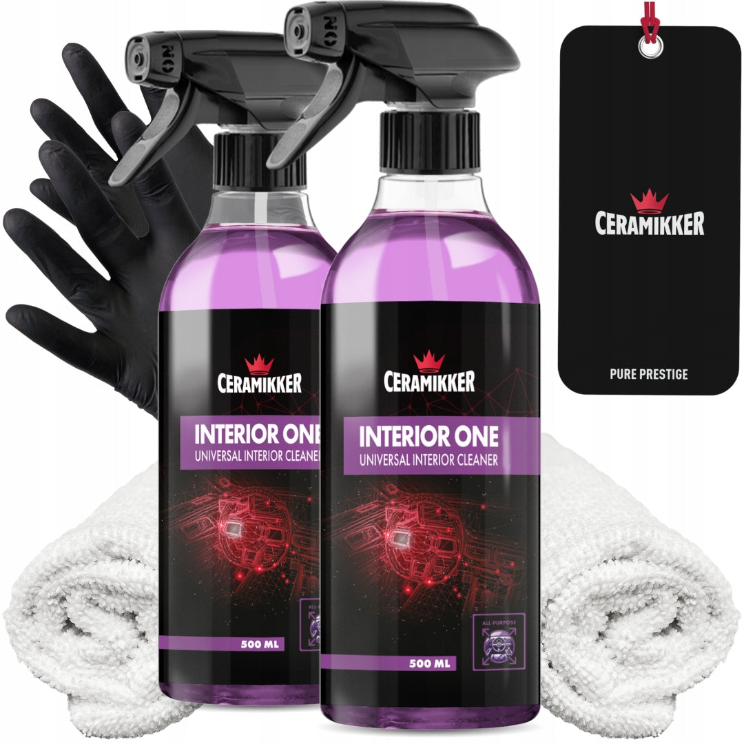 Plastic Renovation Cleaner INTERIOR ONE Interior Cleaning 2x