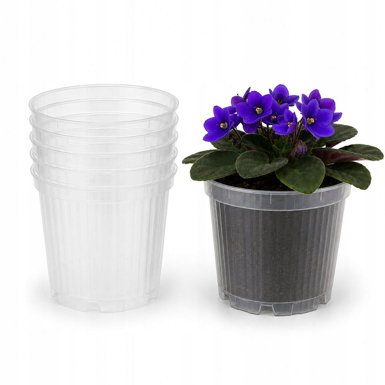 Plastic flower pot transparent production of flower orchids 0,7l 5pcs