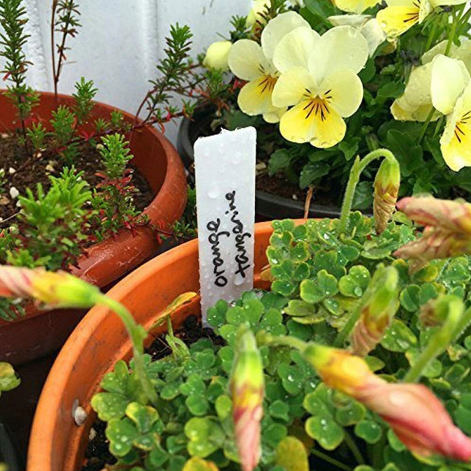 Plastic labels for plants, 20 pcs. 13 x 1.6 cm Color white