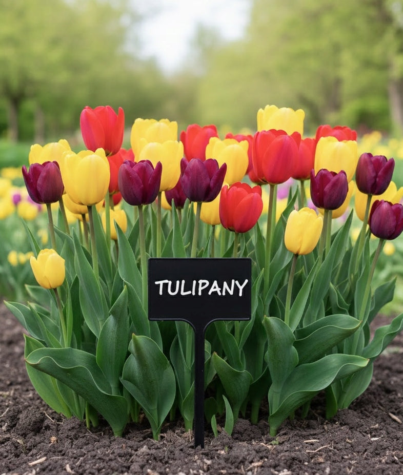 Plates Plant labels 7x10,5cm VEGETABLE FLOWERS for DESCRIPTION BLACK +marker Number of pieces 50 pcs