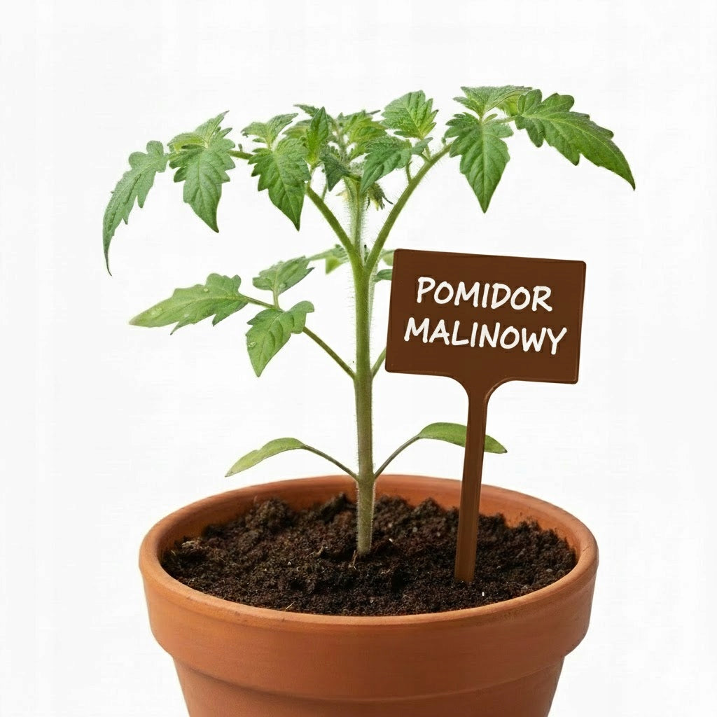 Plates Plant labels 7x10,5cm VEGETABLE FLOWERS for DESCRIPTION Brown Manufacturer code Tabliczki Etykiety do opisu roślin