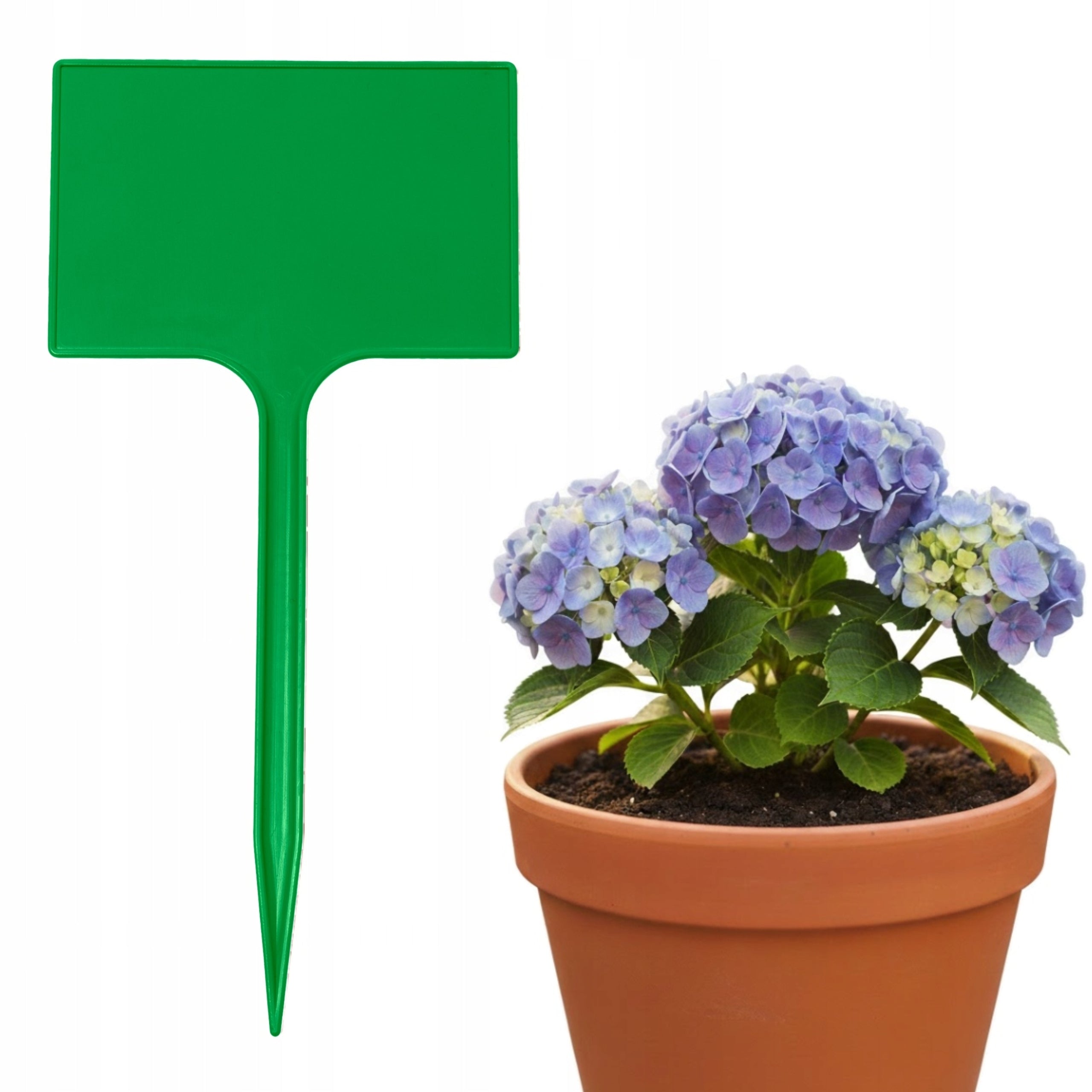 Plates Plant labels 7x10,5cm VEGETABLE FLOWERS for DESCRIPTION Green