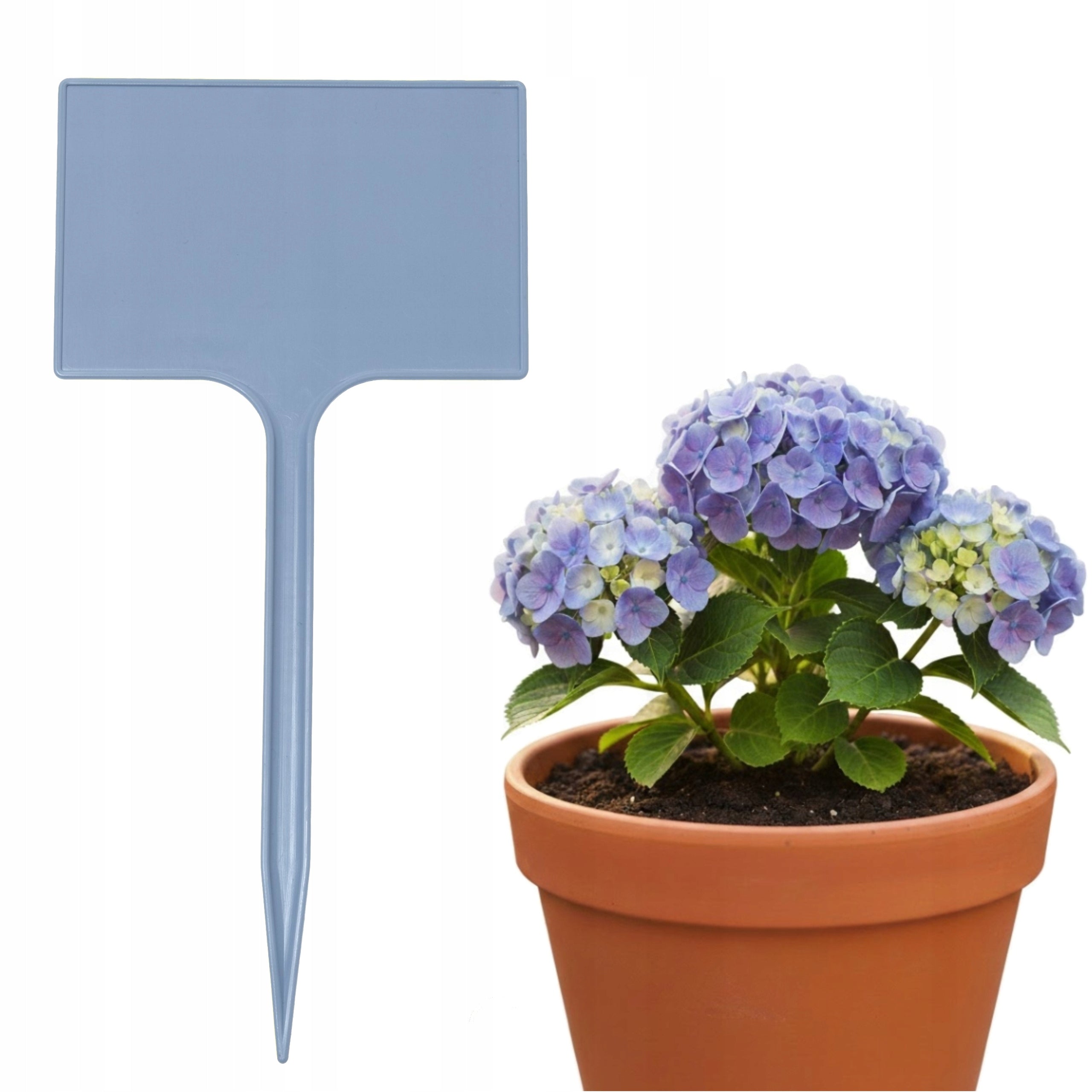 Plates Plant labels 7x10,5cm VEGETABLE FLOWERS for DESCRIPTION Grey