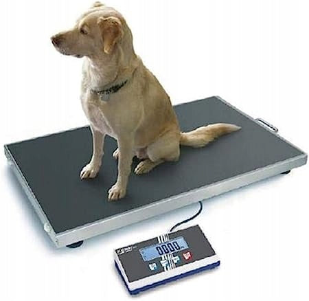 Platform Scale Kern 300 kg x 100 g