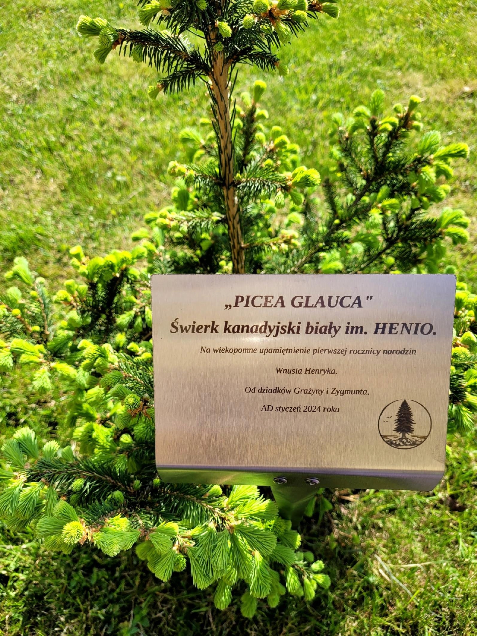 Pluggable garden plaque, stainless steel, ENGRAVING, 155x105x450, MANUFACTURER EAN (GTIN) 5906477685298