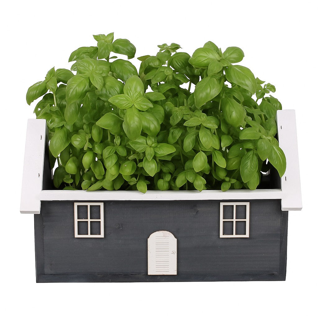 Poland GREY WOODEN FLOWER BOX HERBS COTTAGE 42x18x14/25 cm Brand Tin Tours