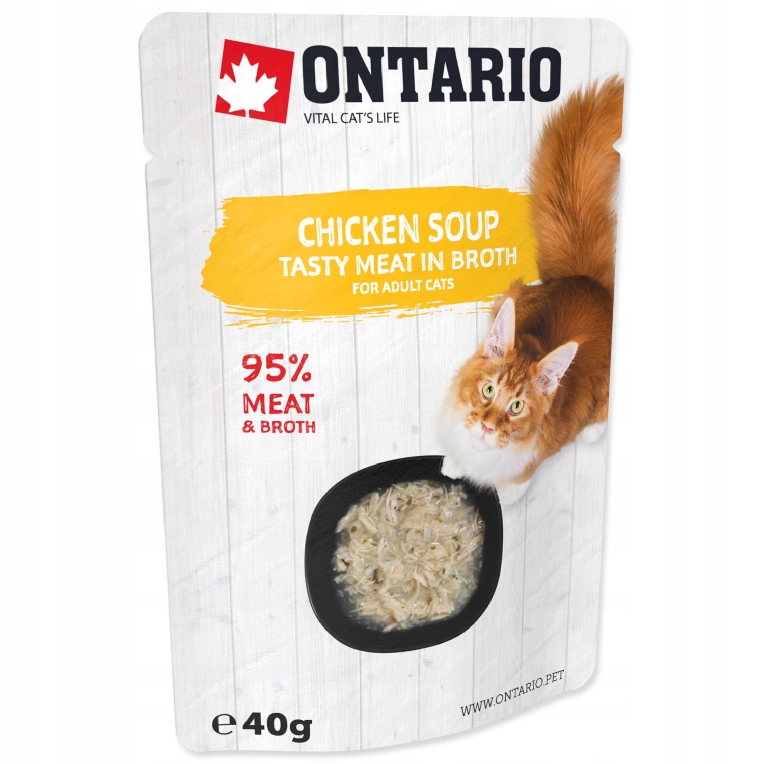 Polévka Ontario kuře 40g Brand Ontario