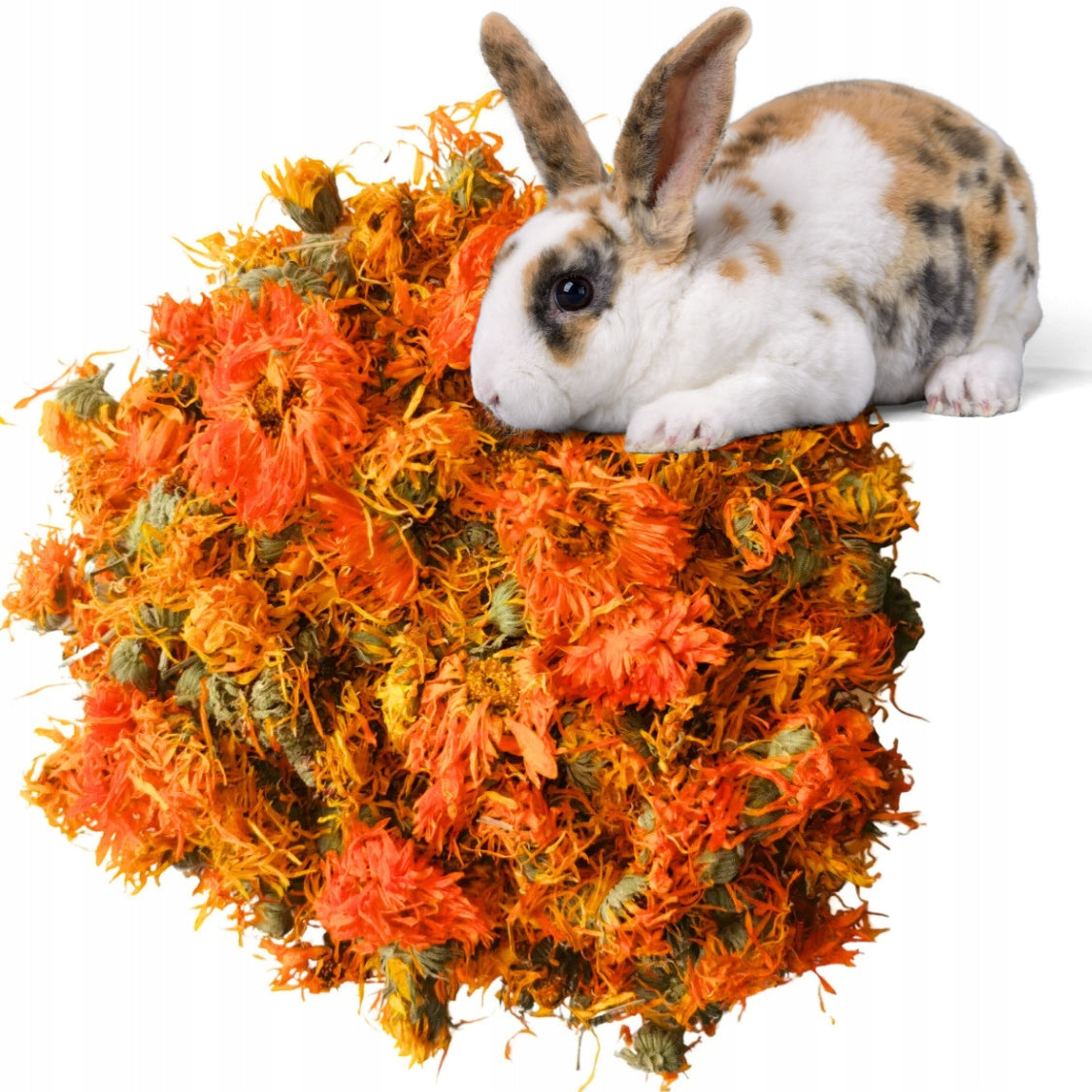 Polish Calendula Marigold Flower 1 kg Dried Roztoczańskie Zioła Brand Roztoczańskie zioła