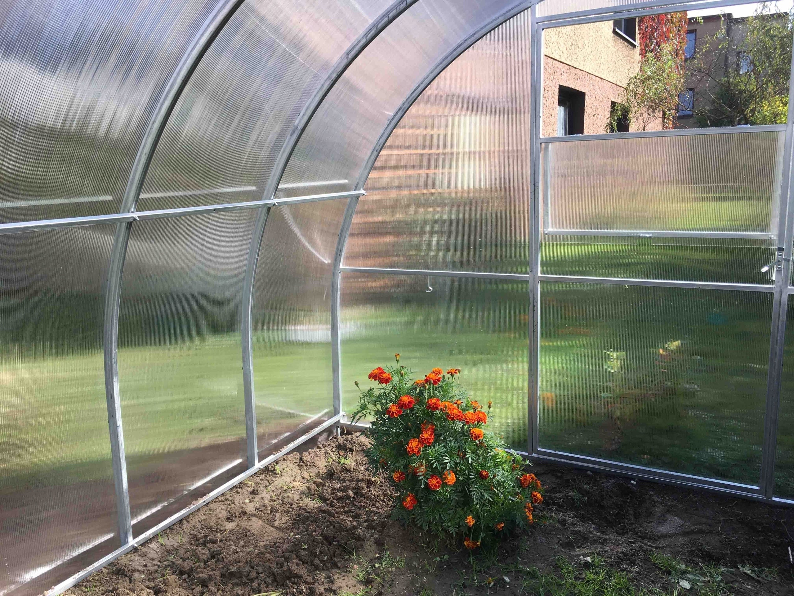 Polycarbonate Greenhouse Garden Tunnel 3x6 m Galvanized Polycarbonate 6mm Length 6.01 m