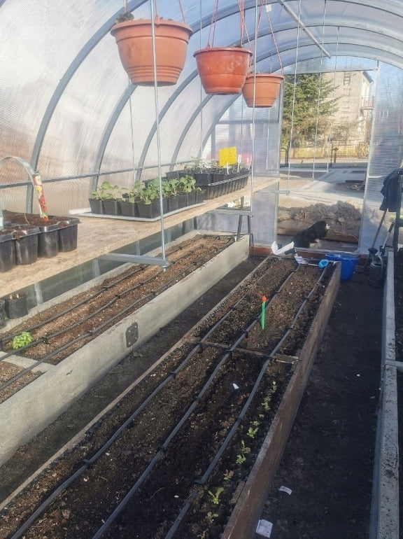Polycarbonate Greenhouse Strong 3x6m 6mm Thickness 6 mm