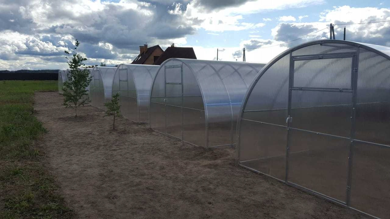 Polycarbonate greenhouse LUX 3x6 40x20 Product height 200 cm