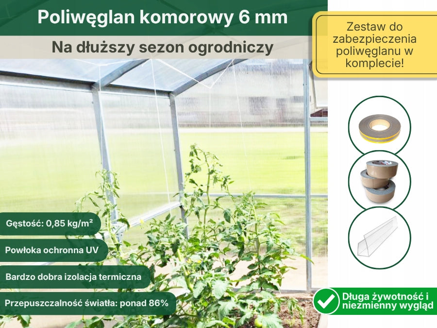 Polycarbonate greenhouse straight walls 3x6 m 6 mm ETL Gera-3 profile 40x20mm Product height 200 cm